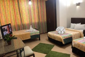 Appartement 1 Chambre Deluxe (3 Adultes) 