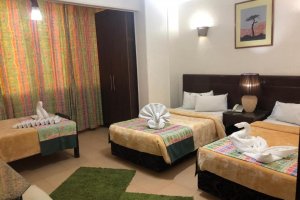 Appartement 1 Chambre Deluxe (3 Adultes) 