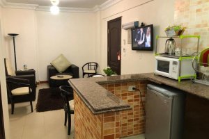 Appartement de Luxe (4 adultes + 2 enfants) 